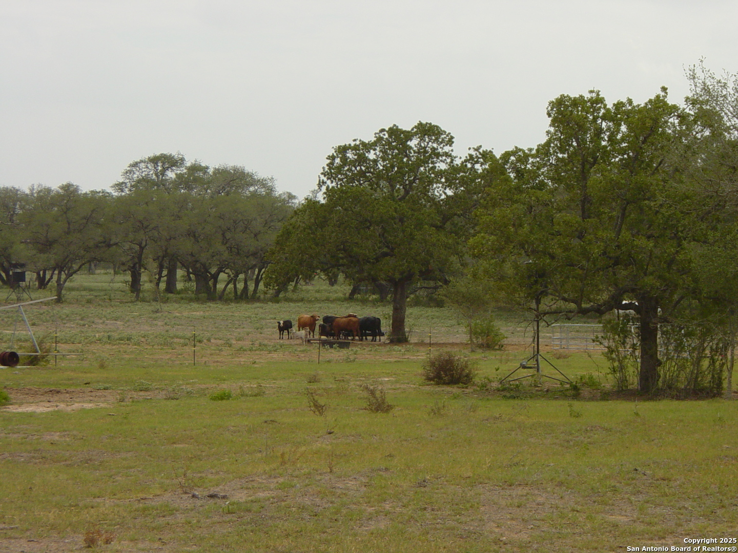 1700 Bruce Road Poteet, TX 78065 - Photo 40 of 46 a view of a lake view