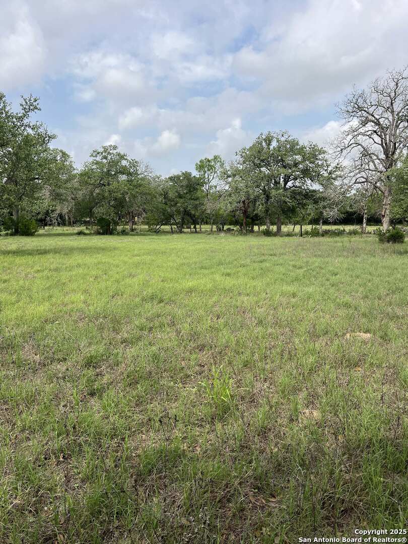 1700 Bruce Road Poteet, TX 78065 - Photo 42 of 46 a view of field with trees in the background