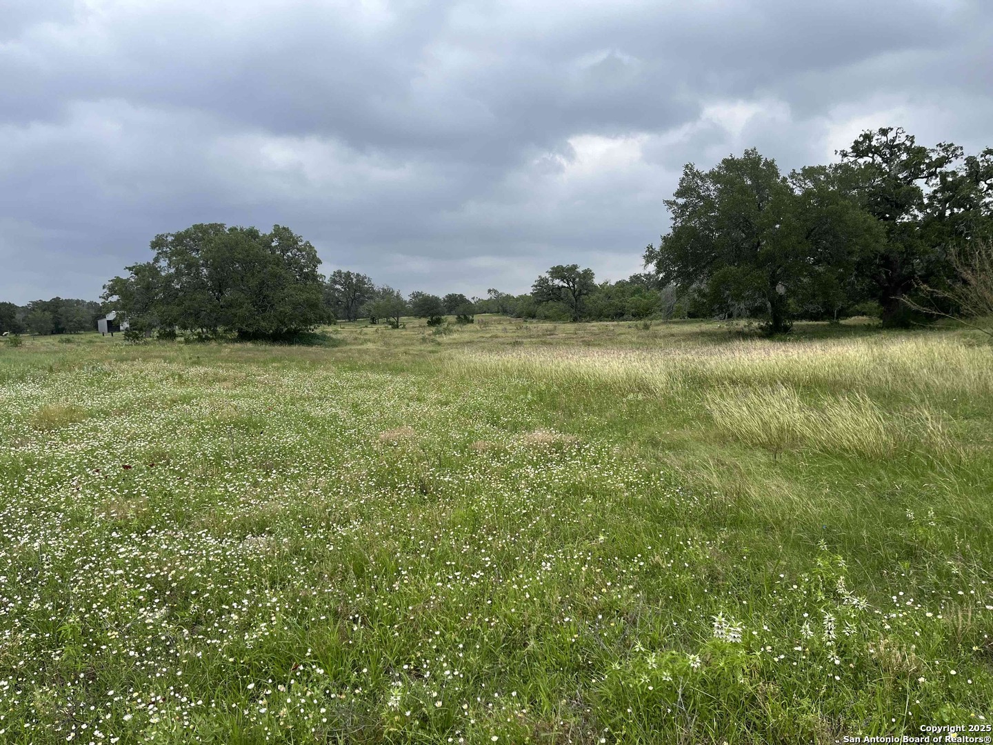1700 Bruce Road Poteet, TX 78065 - Photo 43 of 46 a view of a field with an trees