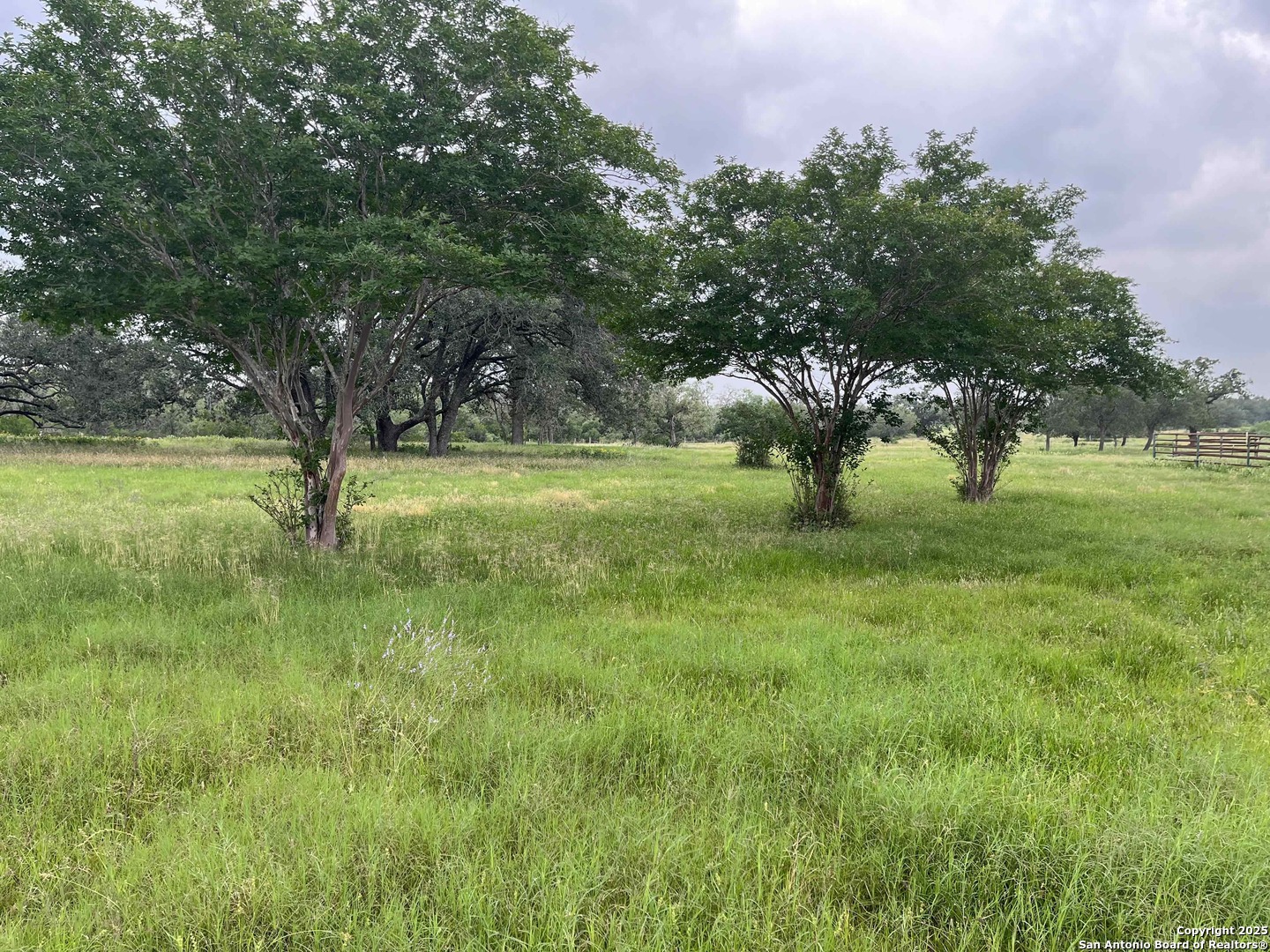 1700 Bruce Road Poteet, TX 78065 - Photo 44 of 46 a view of yard with trees