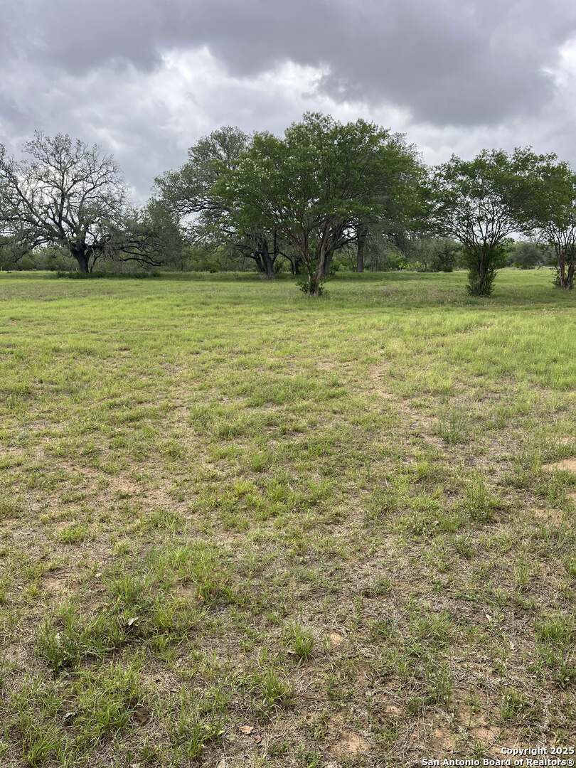 1700 Bruce Road Poteet, TX 78065 - Photo 45 of 46 a view of a lake view