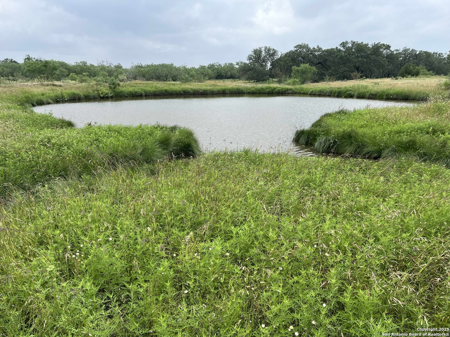 1700 Bruce Road Poteet, TX 78065 - Photo 46 of 46 a lake view with a lake view