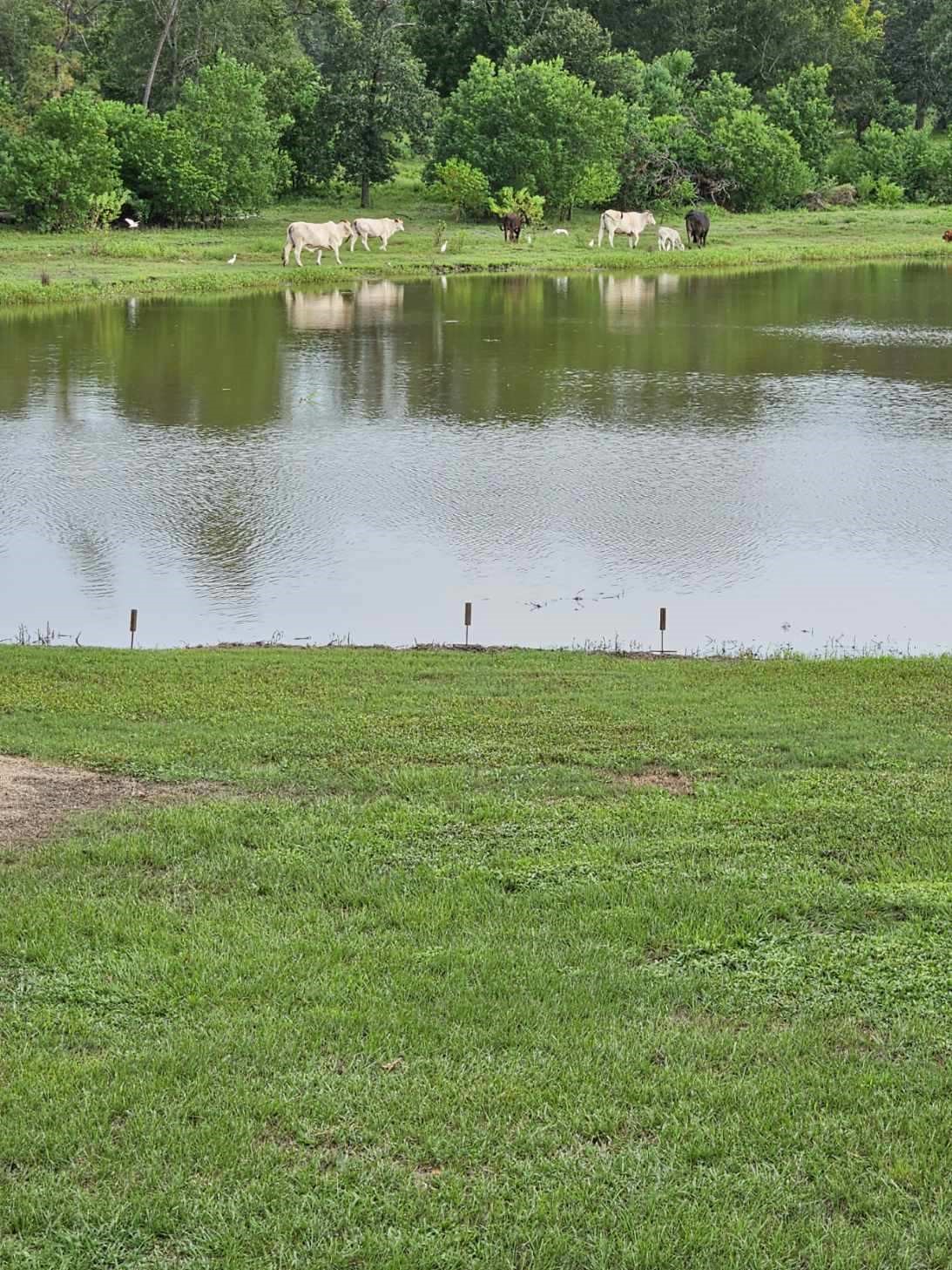 363 Deer Run Road Trinity, TX 75862 - Photo 24 of 28 a view of a lake