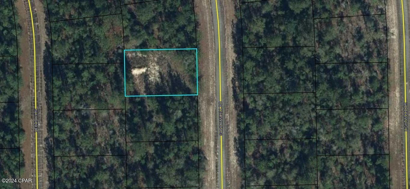 Tbd Goodman Hill Road Chipley, FL 32428 - Photo 2 of 2