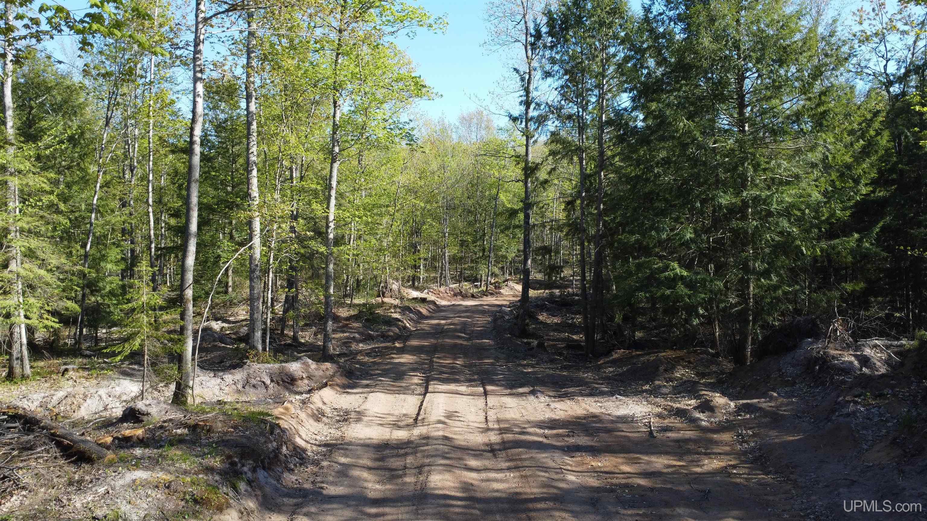 Off Off Hoist Road Negaunee, MI 49866 - Photo 6 of 45