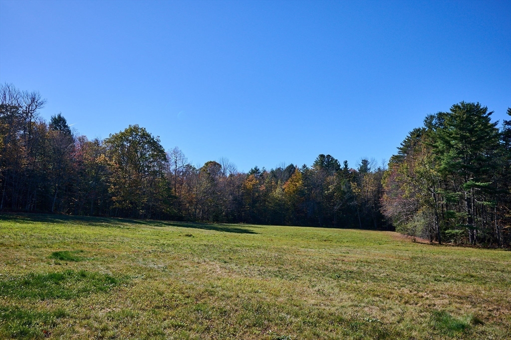 41 Buckland Road Hawley, MA 01339 - Photo 2 of 42 a view of a field with trees in the background