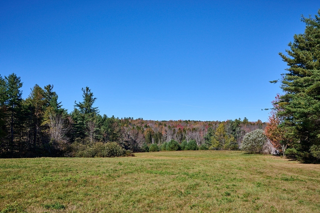 41 Buckland Road Hawley, MA 01339 - Photo 3 of 42 a view of an outdoor space and a yard