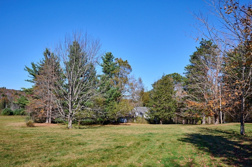 41 Buckland Road Hawley, MA 01339 - Photo 35 of 42 a view of a field with trees in the background