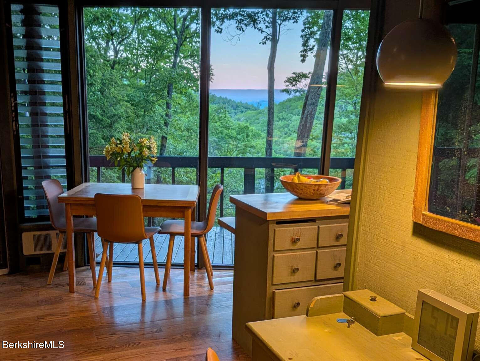 210 Mt Washington Road Egremont, MA 01230 - Photo 2 of 18 Borenzweig.2