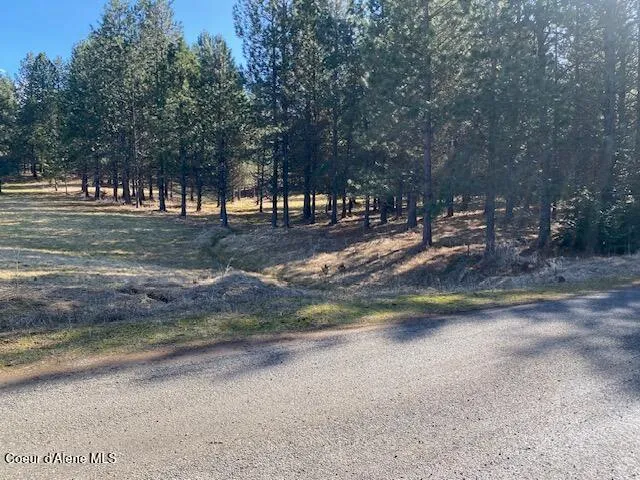 $599,000 | Nka North Frosty Pine Trail, Coeur D'Alene, ID 83814