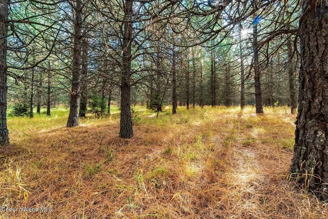 $599,000 | Nka North Frosty Pine Trail, Coeur D'Alene, ID 83814