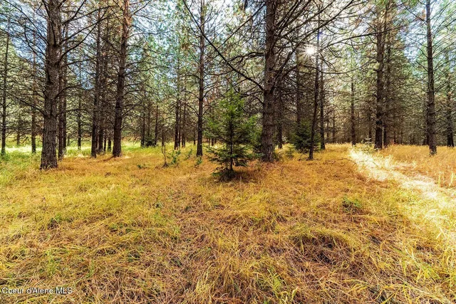 $599,000 | Nka North Frosty Pine Trail, Coeur D'Alene, ID 83814