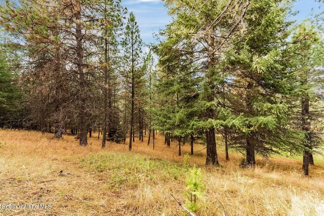 $599,000 | Nka North Frosty Pine Trail, Coeur D'Alene, ID 83814