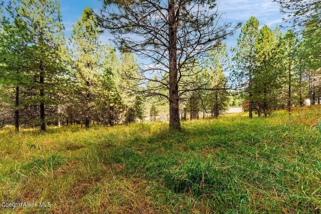 $599,000 | Nka North Frosty Pine Trail, Coeur D'Alene, ID 83814