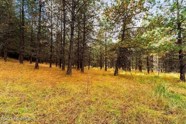 $599,000 | Nka North Frosty Pine Trail, Coeur D'Alene, ID 83814