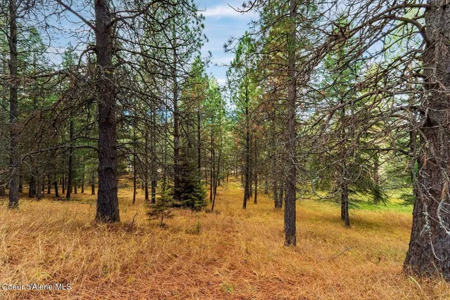 $599,000 | Nka North Frosty Pine Trail, Coeur D'Alene, ID 83814