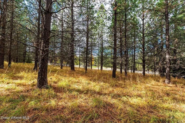 $599,000 | Nka North Frosty Pine Trail, Coeur D'Alene, ID 83814