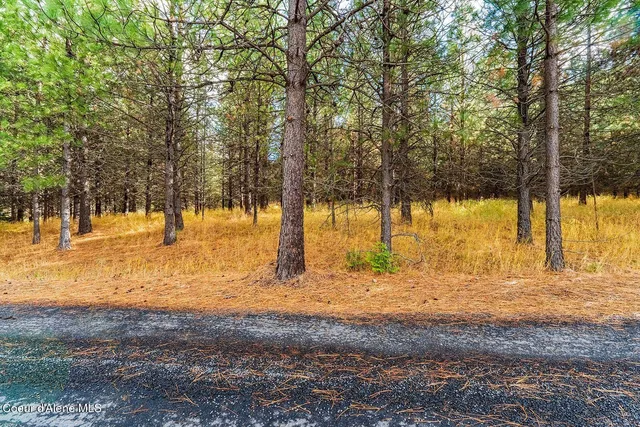 $599,000 | Nka North Frosty Pine Trail, Coeur D'Alene, ID 83814