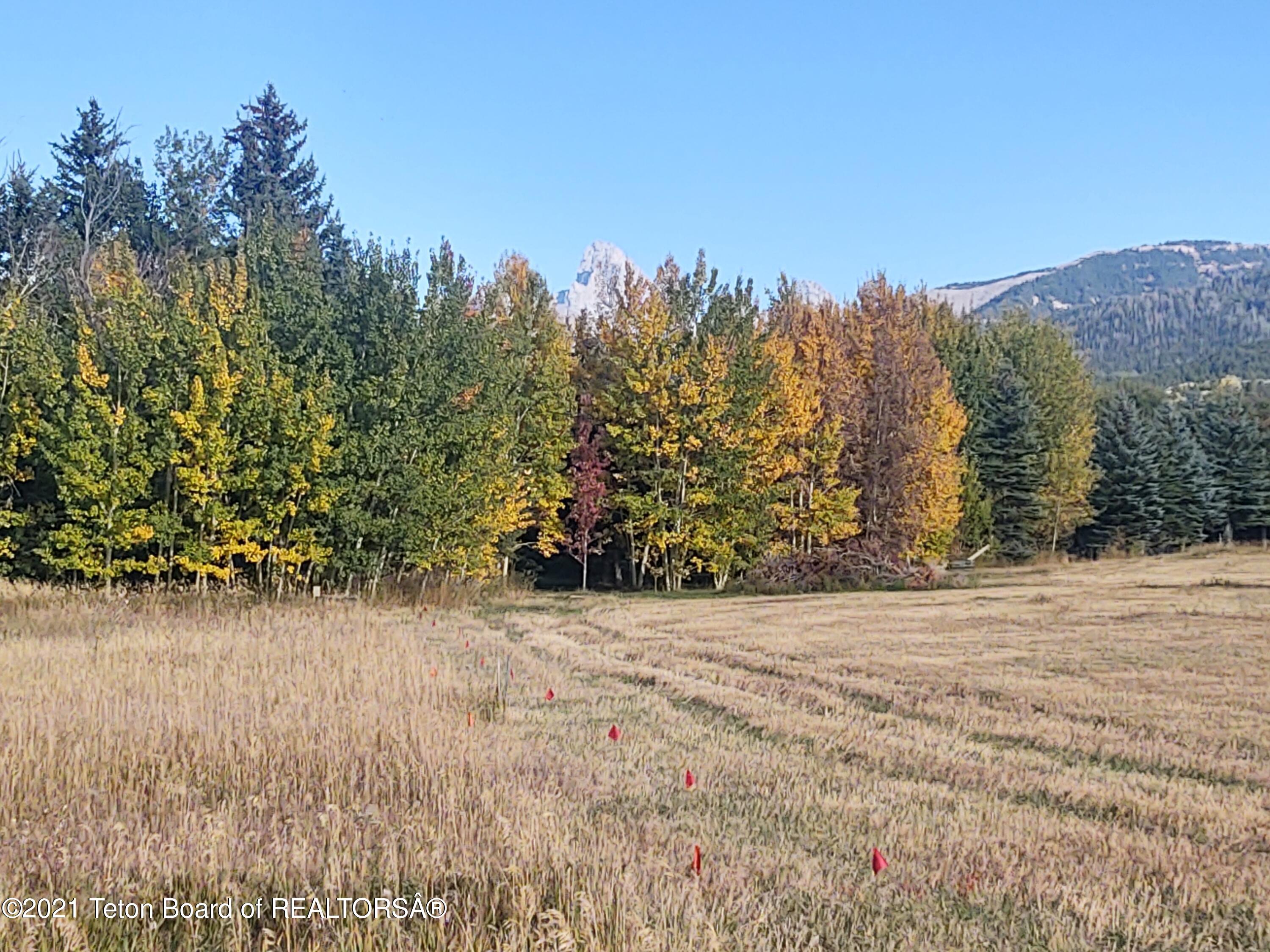 445 Targhee Towne Road Alta, WY 83414 - Photo 1 of 16 SE Teton View Fall