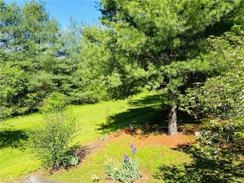 4465 Calico Road Lenoir, NC 28645 - Photo 28 of 33 Gallery Image 28