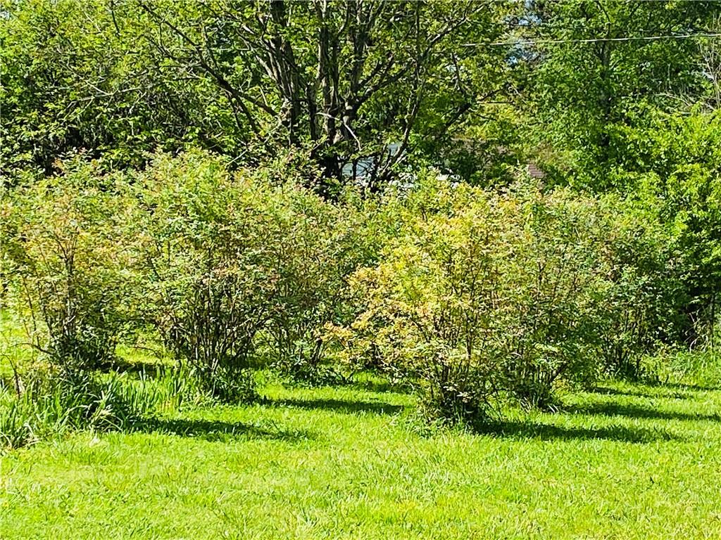 4465 Calico Road Lenoir, NC 28645 - Photo 29 of 33 Gallery Image 29
