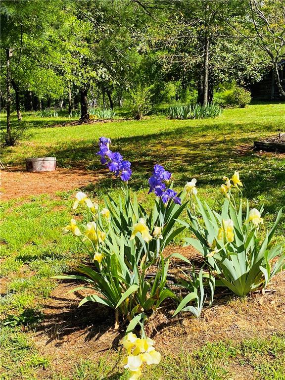 4465 Calico Road Lenoir, NC 28645 - Photo 30 of 33 Gallery Image 30