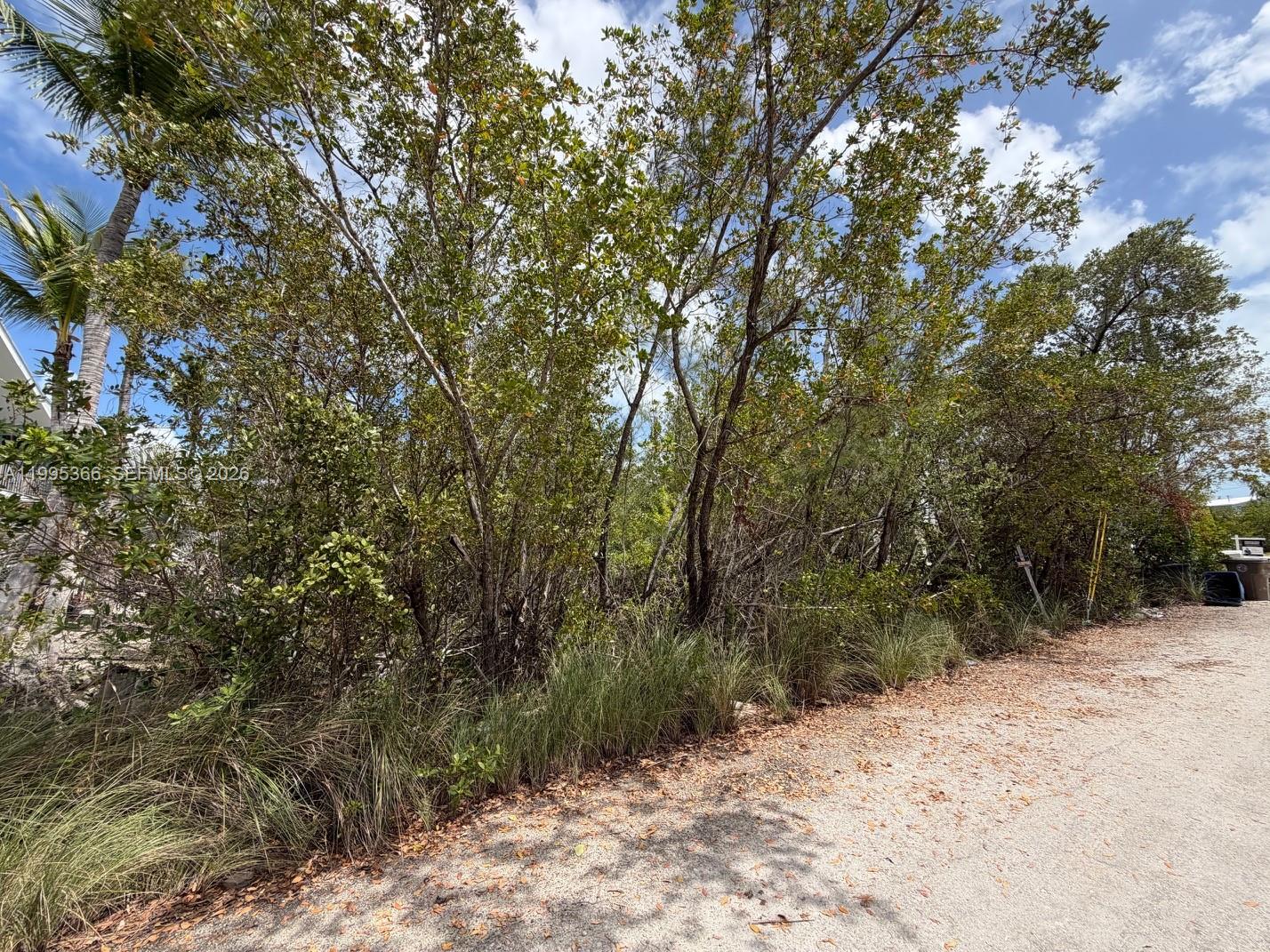 1510 Shaw Drive Key Largo, FL 33037 - Photo 6 of 6 a view of a yard with a tree