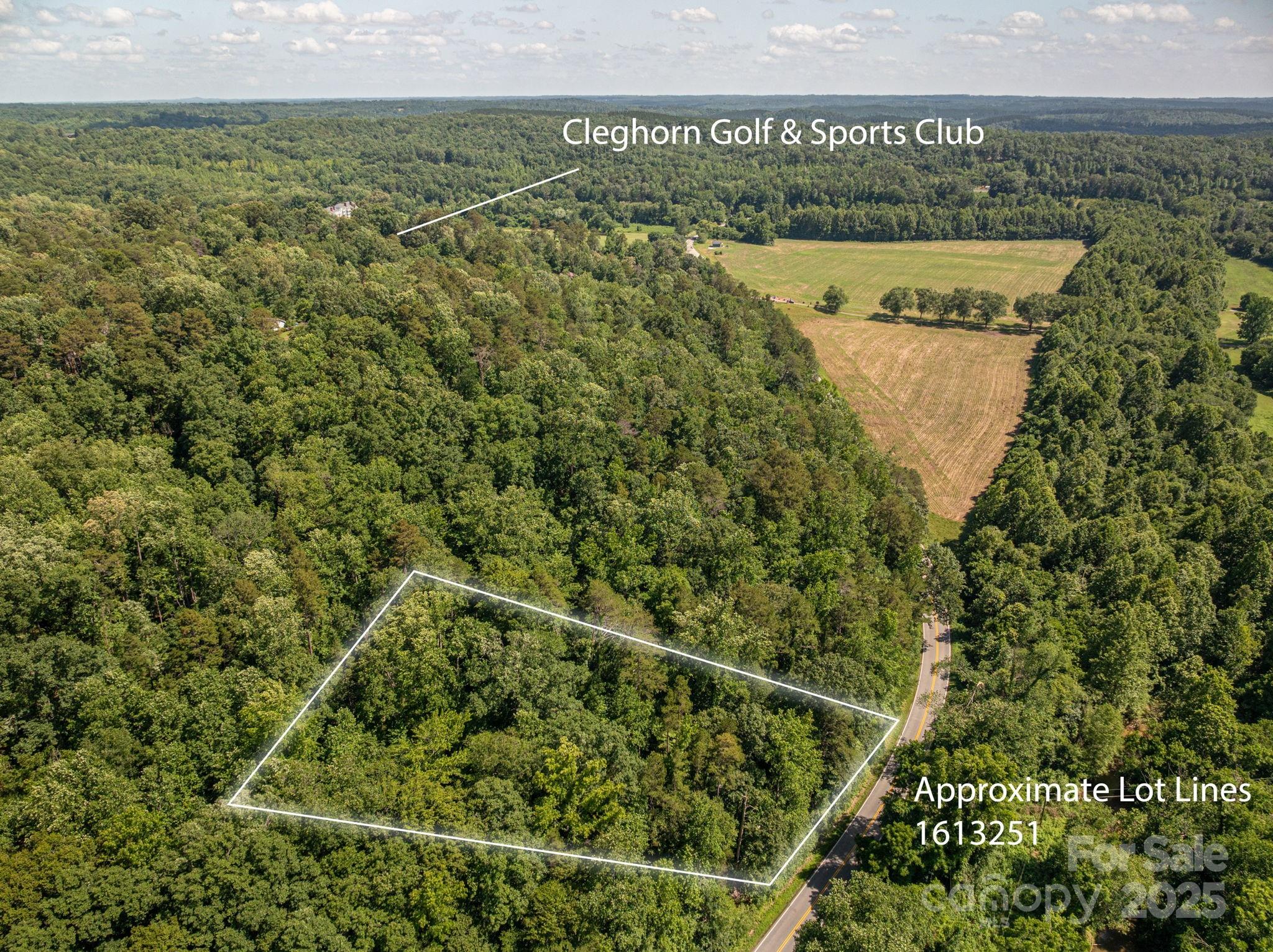 Lot 163 Coxe Road Rutherfordton, NC 28139 - Photo 3 of 14 a view of a field with an outdoor space
