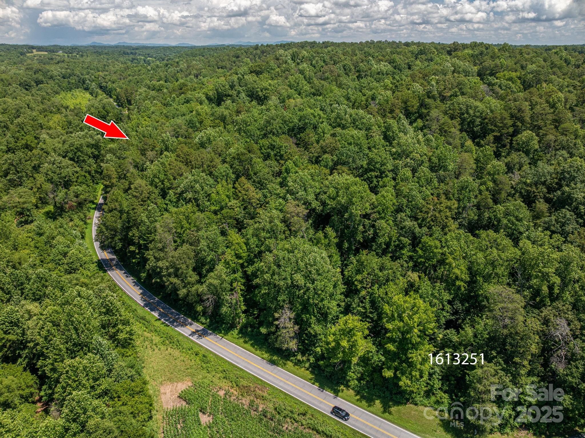 Lot 163 Coxe Road Rutherfordton, NC 28139 - Photo 5 of 14 a view of outdoor space and yard