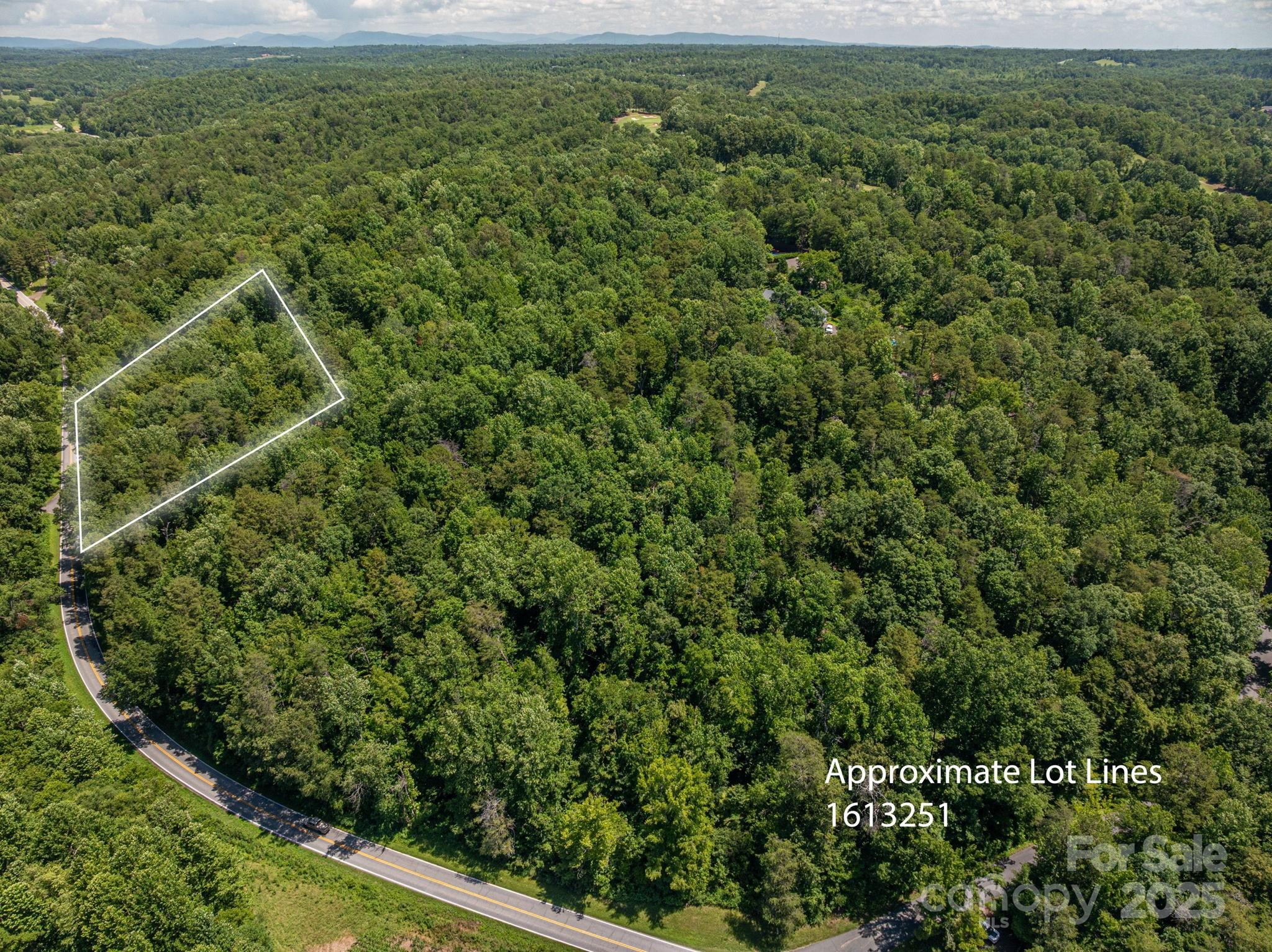 Lot 163 Coxe Road Rutherfordton, NC 28139 - Photo 6 of 14 a view of a field of grass and trees