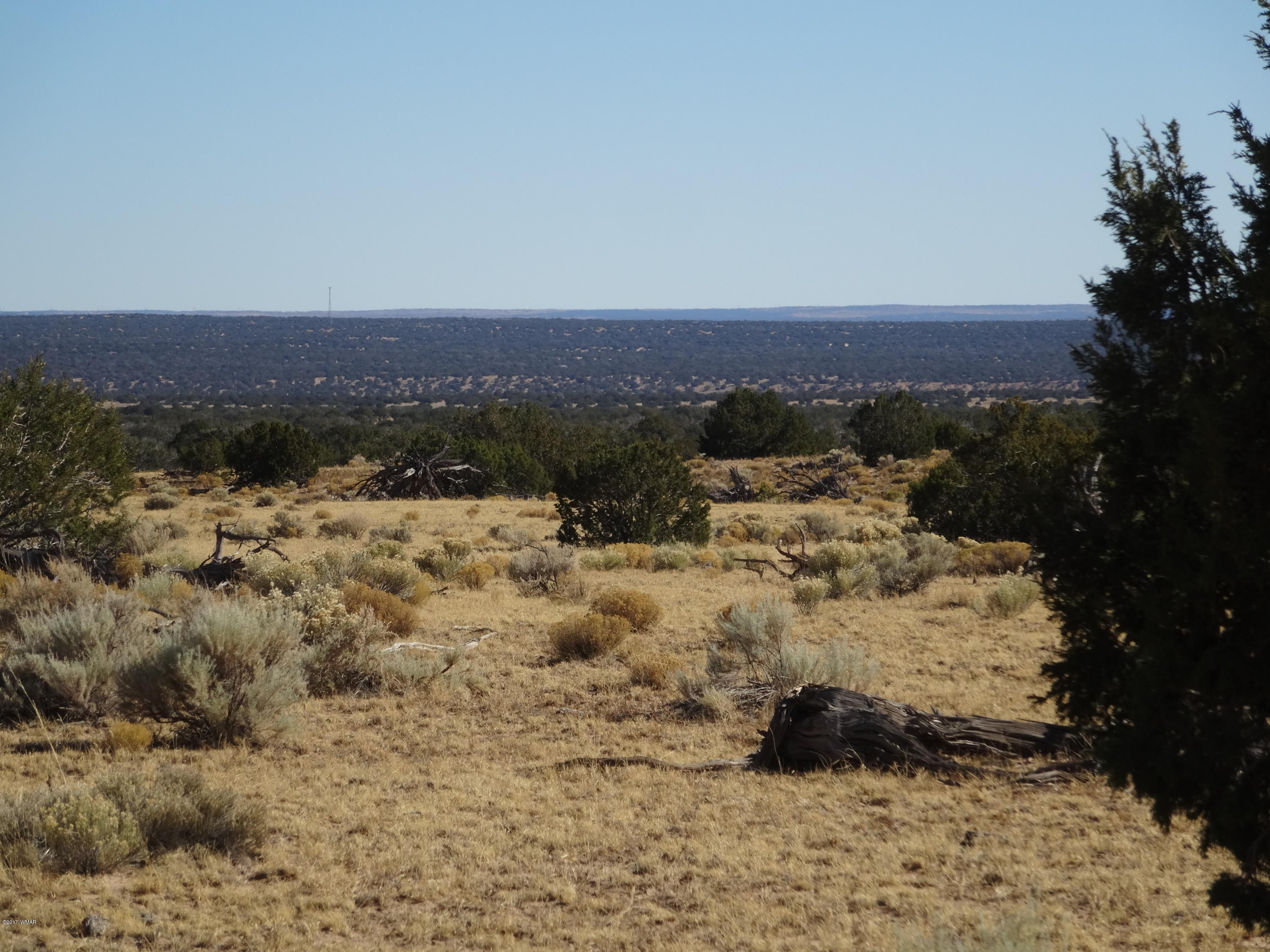 15 Red Sky Ranch St. Johns, AZ 85936 - Photo 1 of 4