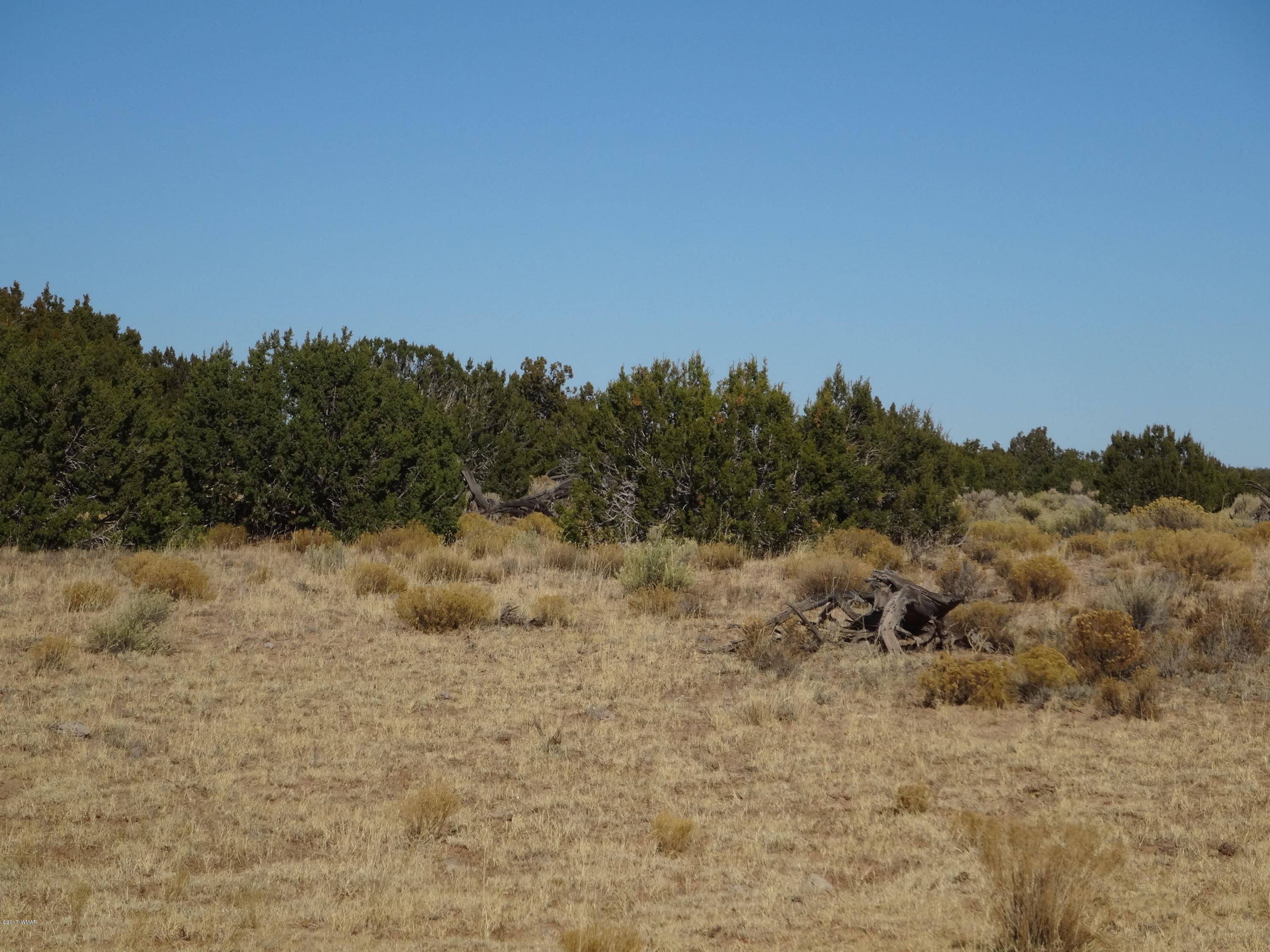 15 Red Sky Ranch St. Johns, AZ 85936 - Photo 3 of 4