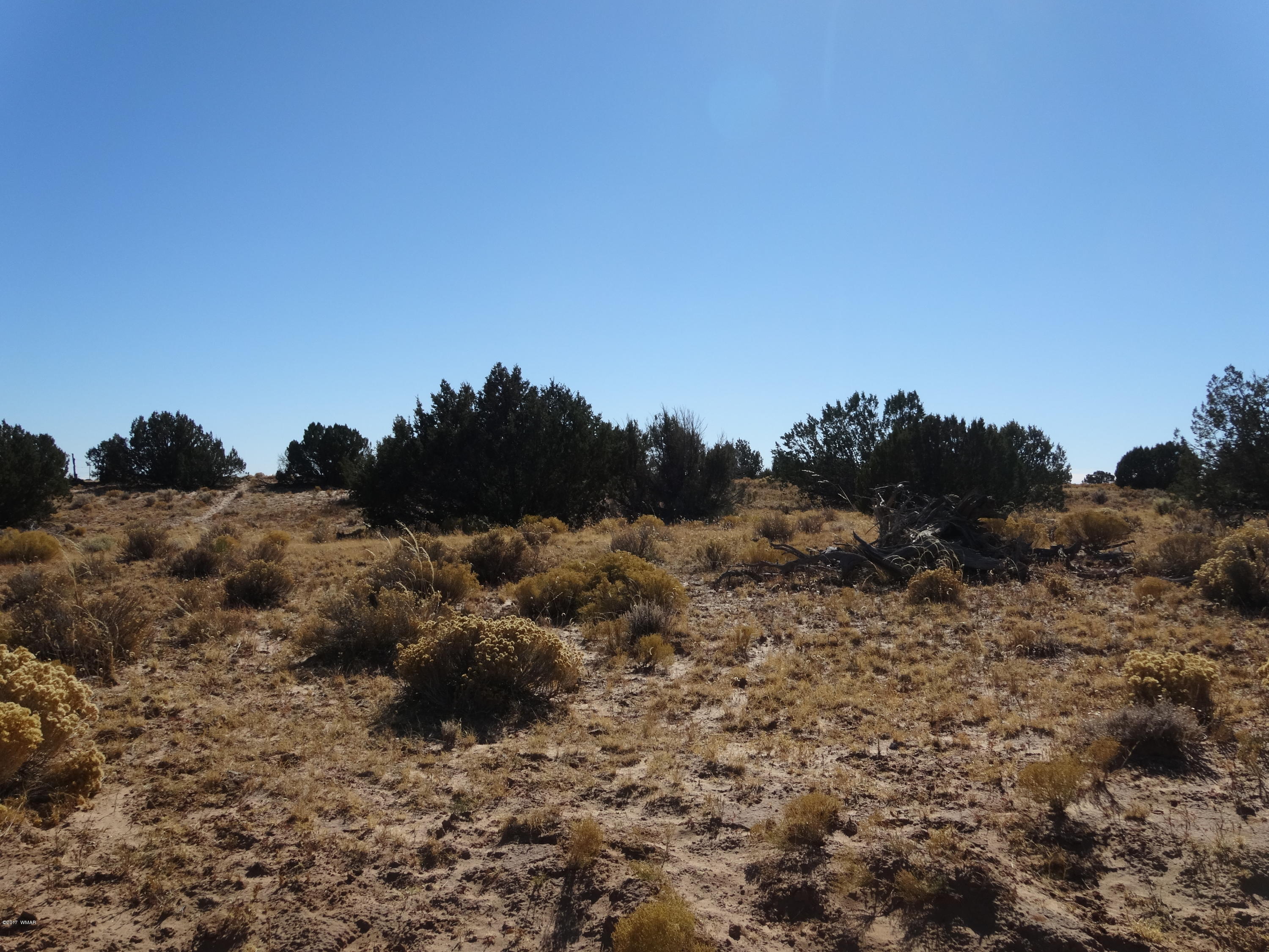 15 Red Sky Ranch St. Johns, AZ 85936 - Photo 4 of 4
