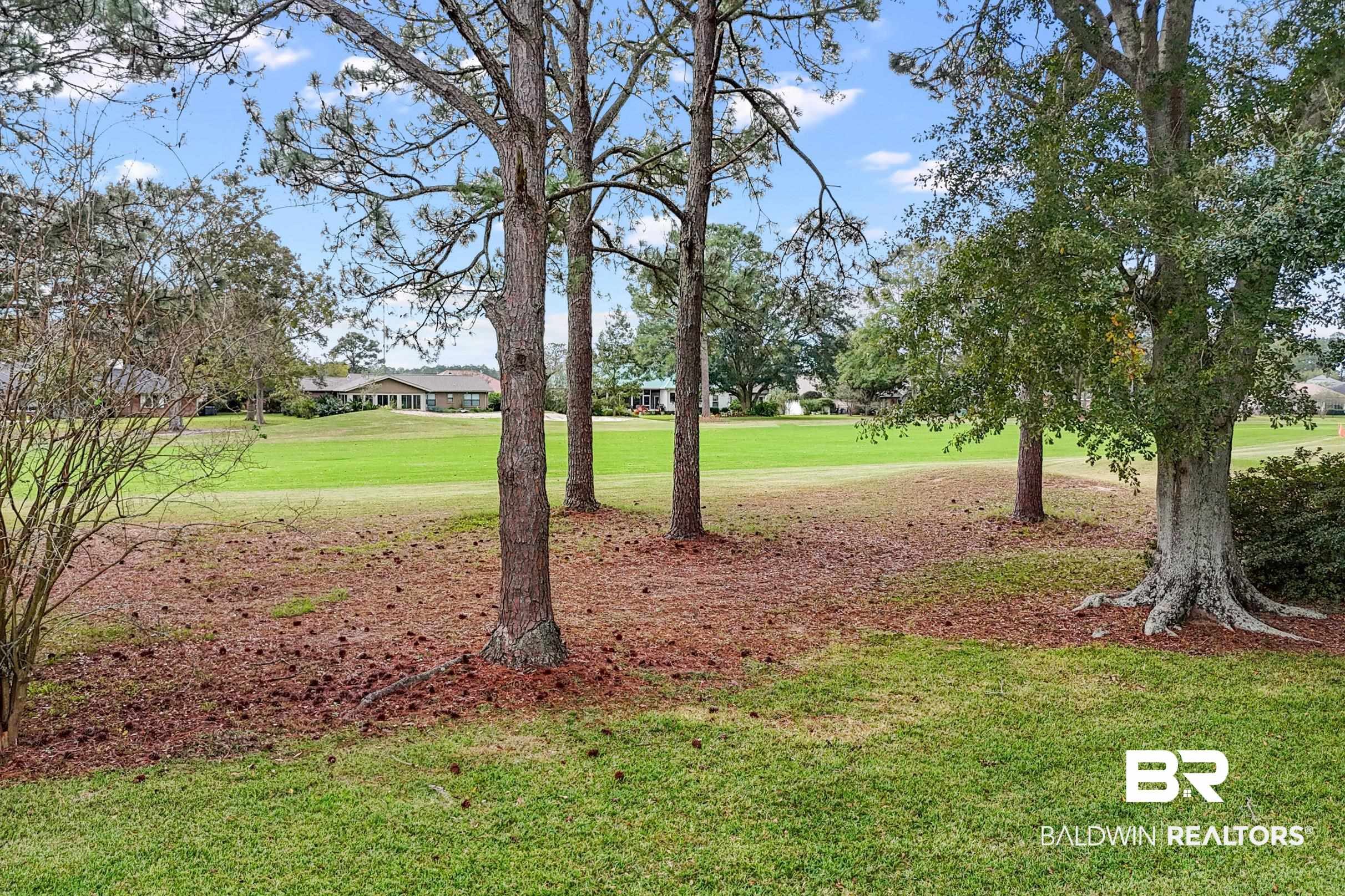 9243 Lakeview Drive Foley, AL 36535 - Photo 43 of 54
