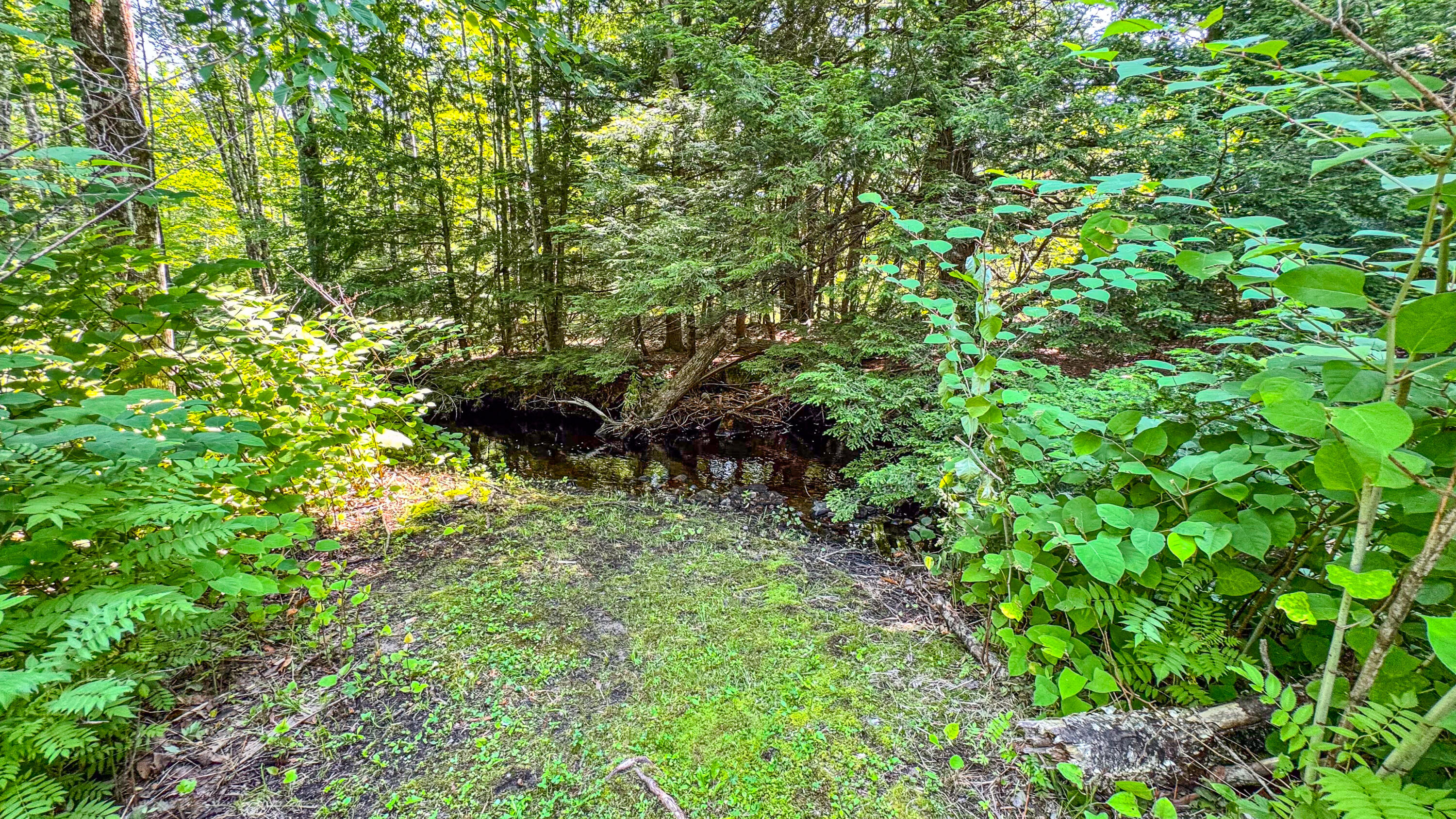 179 South Effingham Road Newfield, ME 04095 - Photo 9 of 37 179 south effingham road-47