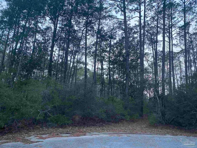 $50,000 | 0 Sunset Bayou Drive, Milton, FL 32583