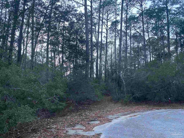 a view of a yard with a trees