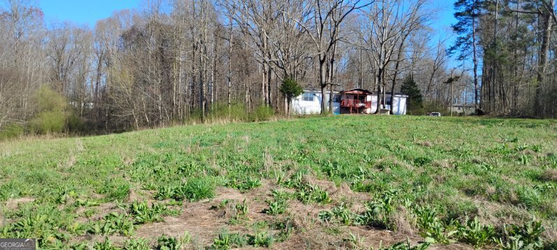 2331 Kesler Road Carnesville, GA 30521 - Photo 2 of 50 a view of a park with large trees