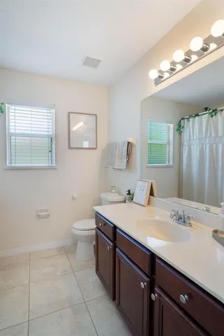 a bathroom with a sink a toilet and mirror