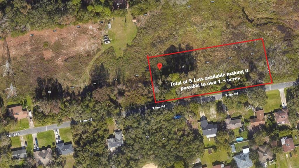 262 Toms Road DeBary, FL 32713 - Photo 8 of 8