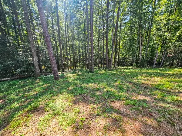 a view of outdoor space with green field and trees