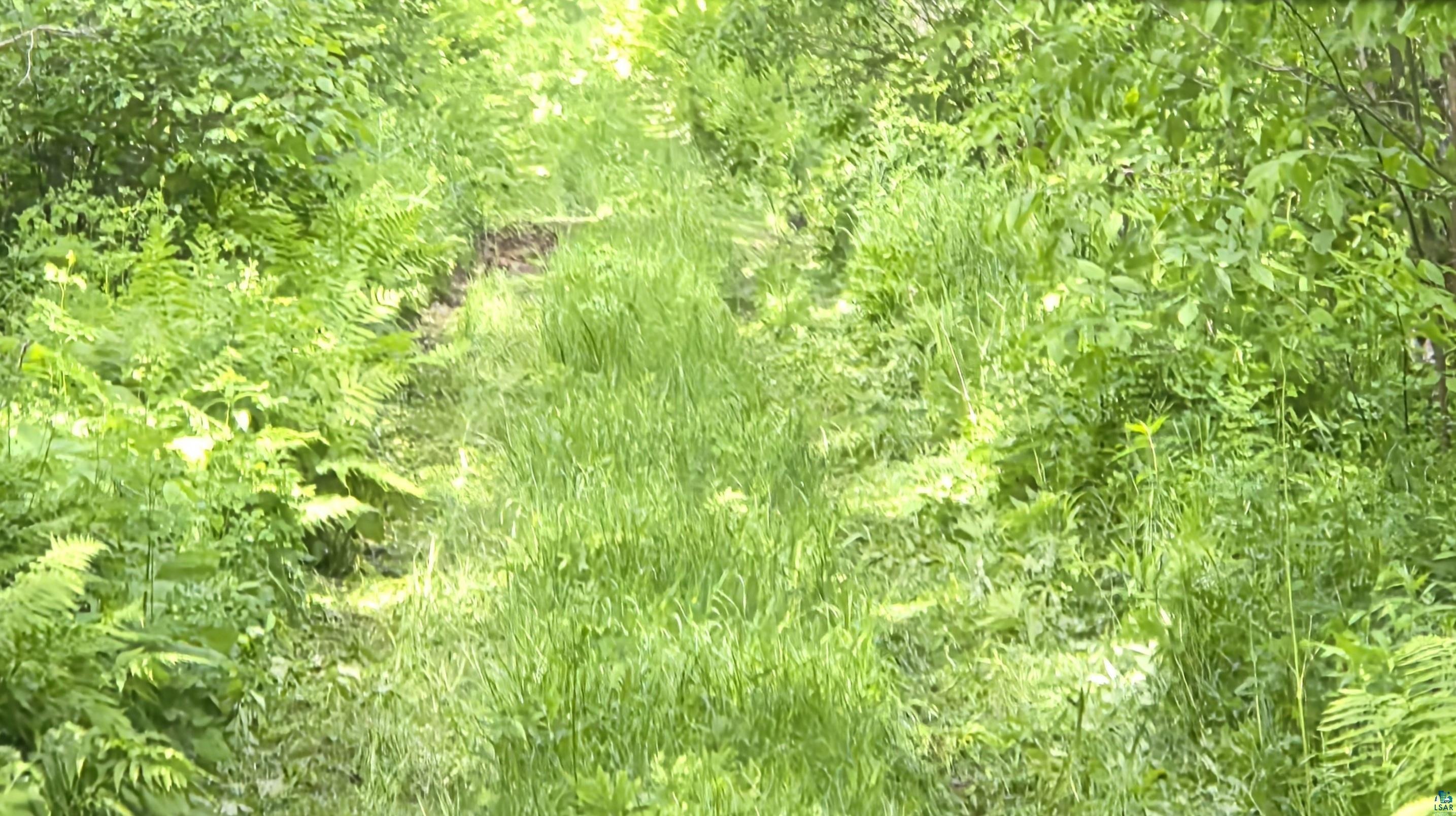 Xxx M T Nelson Road Mahtowa, MN 55707 - Photo 3 of 19