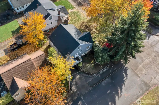 a view of a garden with plants