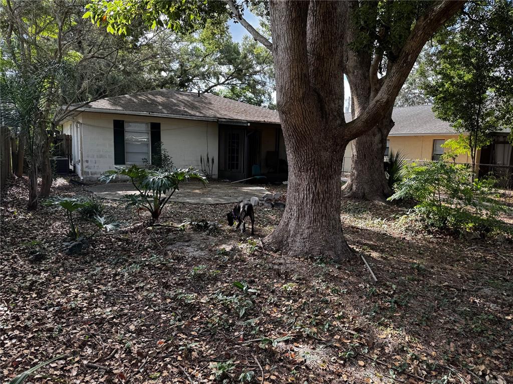 205 Pinecrest Road Mount Dora, FL 32757 - Photo 10 of 18