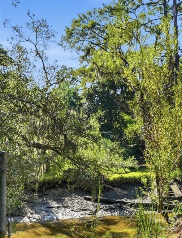 9006 Harmon Bluff Road Savannah, GA 31406 - Photo 31 of 33 Gallery Image 31