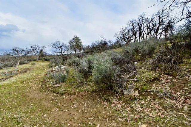 a view of a field with an trees