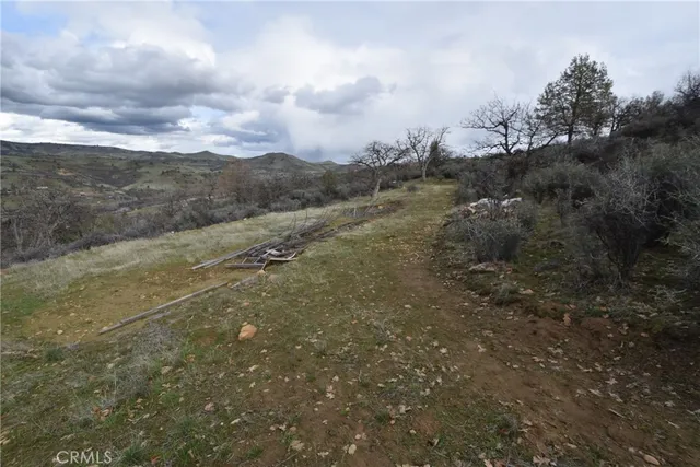 a view of a yard with a tree