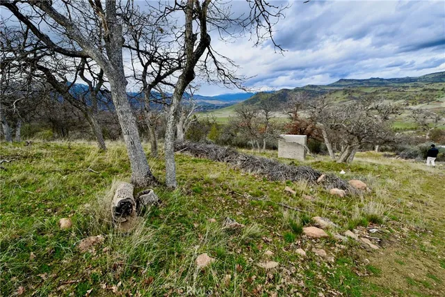a view of a dry yard with wooden fence