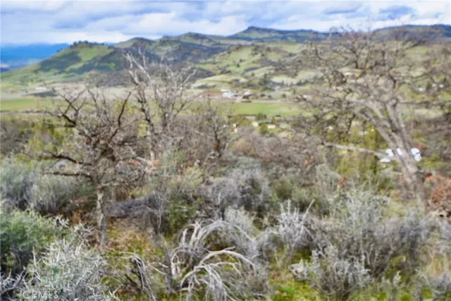 a view of a forest with an outdoor space
