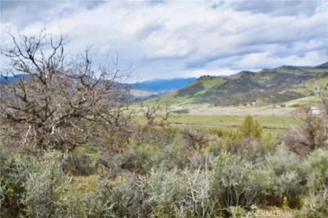 a view of a big yard of a house
